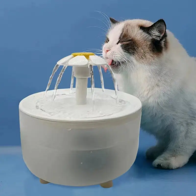 Chat qui a appris à boire directement au jet de la fontaine